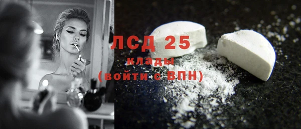 ГАЛЛЮЦИНОГЕННЫЕ ГРИБЫ Снежинск