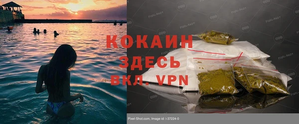 прущие грибы Балахна