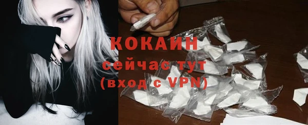 ГАЛЛЮЦИНОГЕННЫЕ ГРИБЫ Снежинск