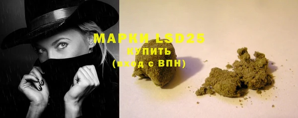 прущие грибы Балахна