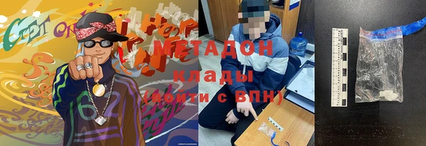 прущие грибы Балахна